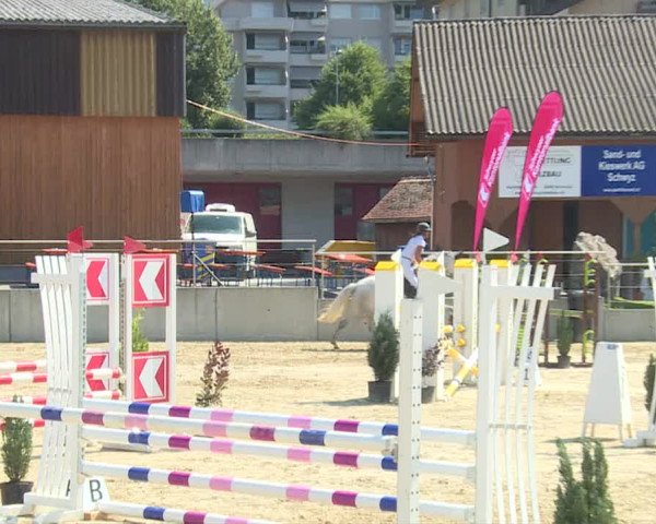 Reitturnier Schwyz 2019