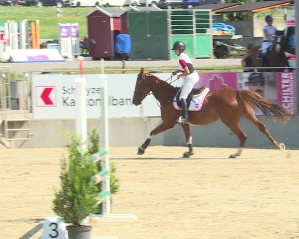 Reitturnier Schwyz 2019