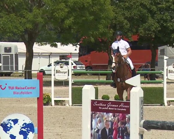 Reitturnier Rot am See- Musdorf 2019