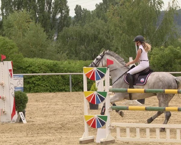 Reitturnier Püttlingen 2019