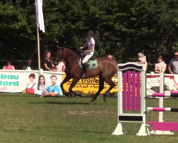 Reitturnier Felmerholz 2019