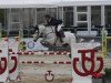 jumper Ijzermolen's Chella Z (Zangersheide riding horse, 2003, from Chellano Z)