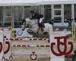 jumper Ijzermolen's Chella Z (Zangersheide riding horse, 2003, from Chellano Z)