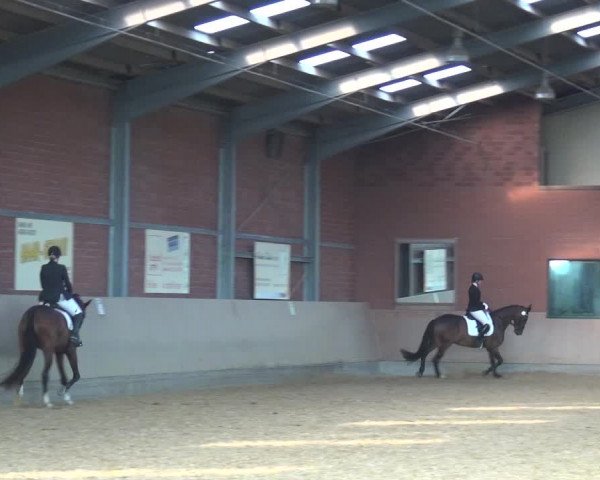 Reitturnier Neuss-Allerheiligen 2019