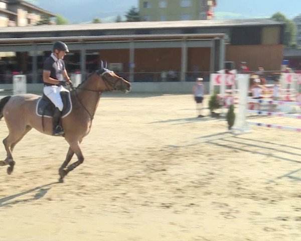 Reitturnier Schwyz 2019
