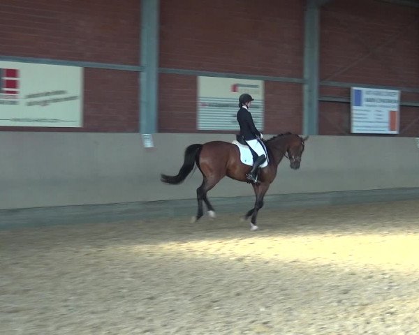 Reitturnier Neuss-Allerheiligen 2019