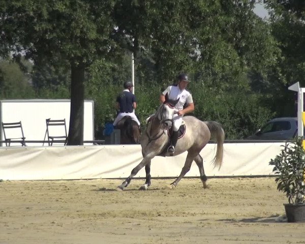 Reitturnier Neuss-Allerheiligen 2019