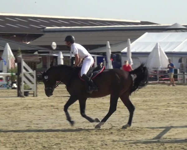 Reitturnier Neuss-Allerheiligen 2019