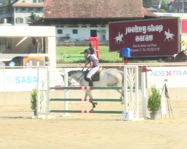 Reitturnier Schwyz 2019