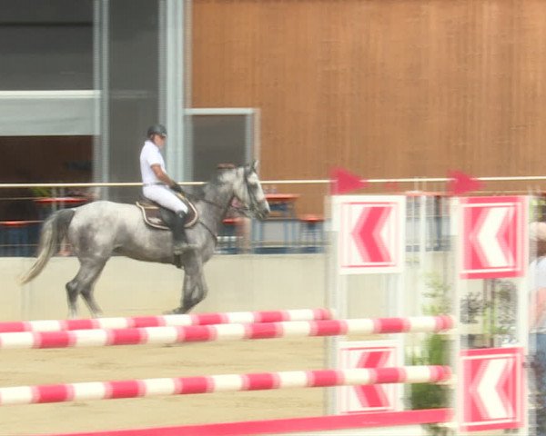 Reitturnier Schwyz 2019