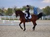 dressage horse Flipper NRW (Westphalian, 2003, from Florestan I)