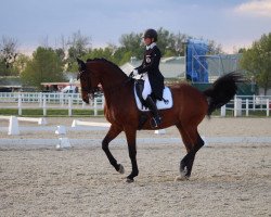 dressage horse Flipper NRW (Westphalian, 2003, from Florestan I)