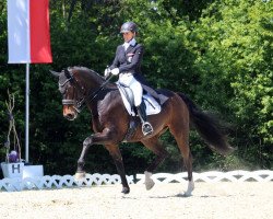 dressage horse Fullsister (Oldenburg, 2007, from Diamond Hit)