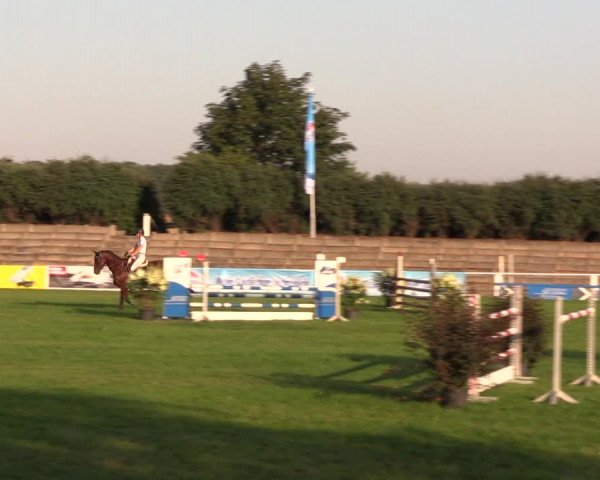 Reitturnier Baschütz bei Bautzen 2019