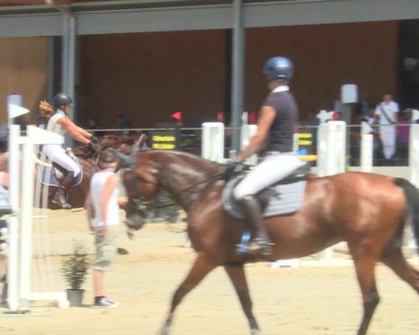 Reitturnier Schwyz 2019