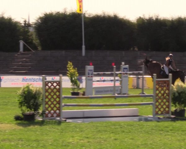 Reitturnier Baschütz bei Bautzen 2019