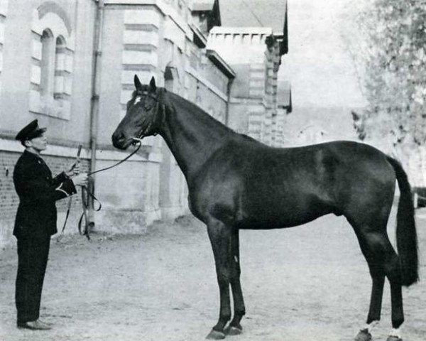stallion Cranfast xx (Thoroughbred, 1961, from Cranach xx)