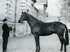 stallion Cranfast xx (Thoroughbred, 1961, from Cranach xx)