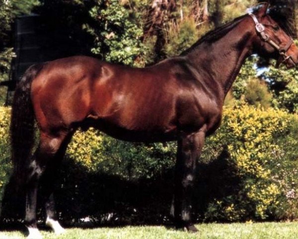 stallion Danzig Connection xx (Thoroughbred, 1983, from Danzig xx)