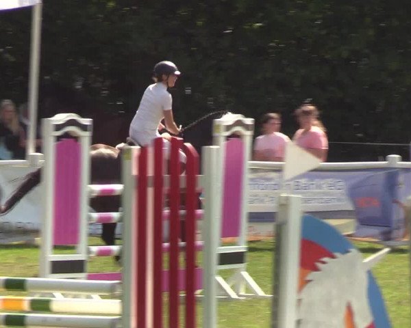 Reitturnier Felmerholz 2019