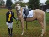 dressage horse Docslands Rohdiamant (German Riding Pony, 2011, from Rheingold)