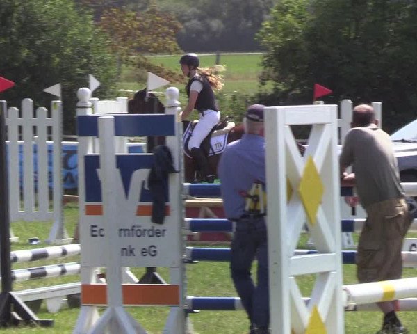 Reitturnier Felmerholz 2019