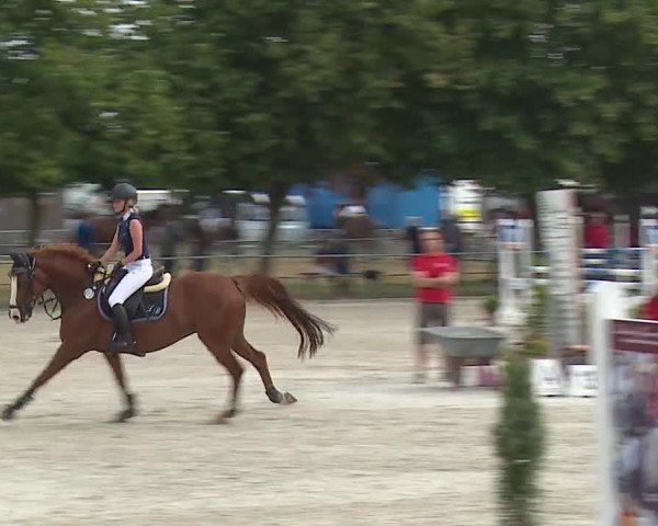Reitturnier Rot am See- Musdorf 2019