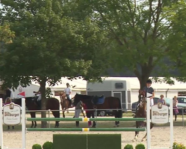 Reitturnier Rot am See- Musdorf 2019