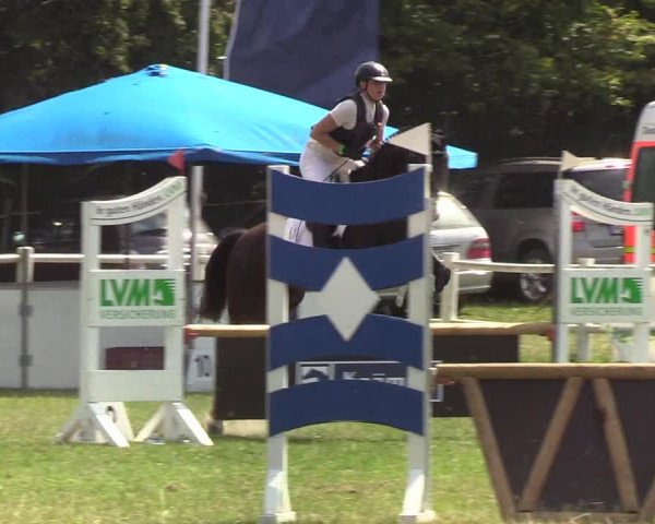 Reitturnier Felmerholz 2019