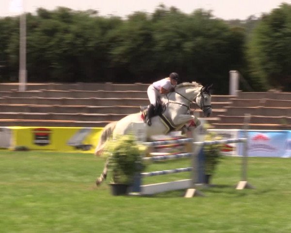 Reitturnier Baschütz bei Bautzen 2019