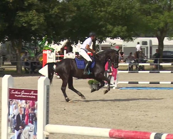 Reitturnier Rot am See- Musdorf 2019