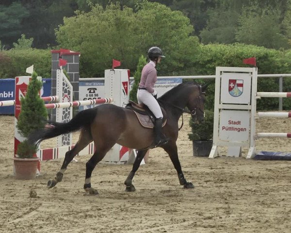 Reitturnier Püttlingen 2019