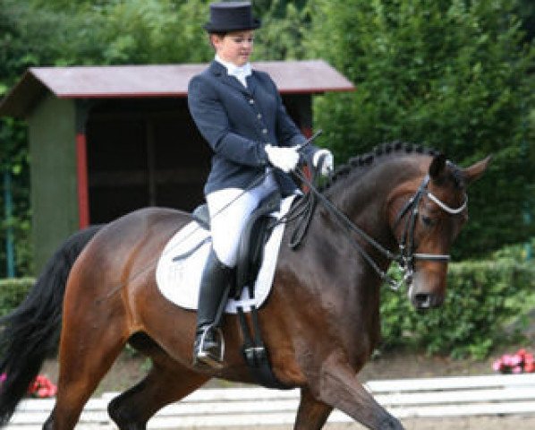 dressage horse Florentine 84 (Trakehner, 2005, from Tannenhof’s Solero TSF)