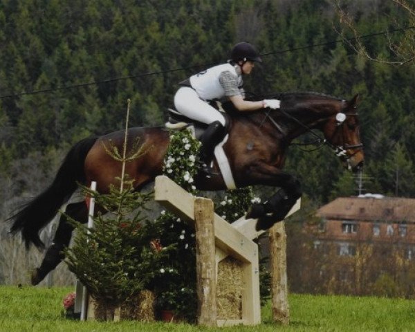 horse Hydepark (Trakehner, 1996, from Nandino xx)