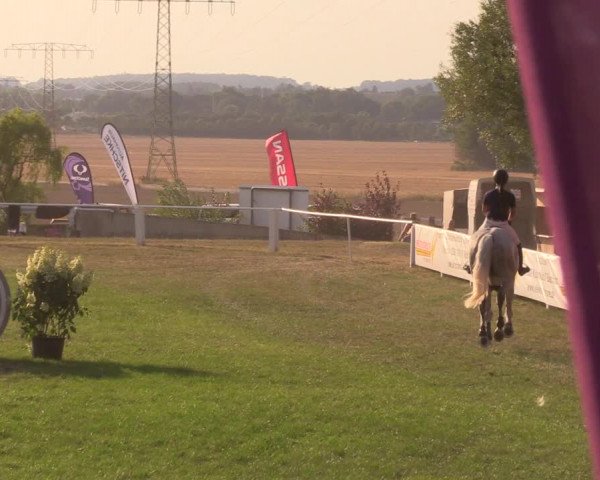 Reitturnier Baschütz bei Bautzen 2019