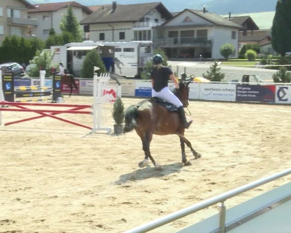 Reitturnier Schwyz 2019