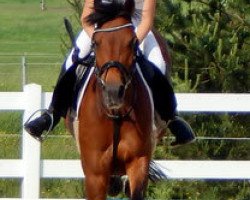 jumper Esmee 9 (Pony without race description, 2004)