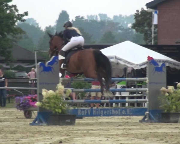 Reitturnier Neuss-Allerheiligen 2019