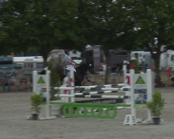 Reitturnier Rot am See- Musdorf 2019