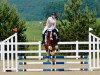 Springpferd Dusty der Highlander (Tinker / Irish Cob / Gypsy Vanner, 2002, von Duncom der Highlander)