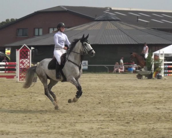 Reitturnier Neuss-Allerheiligen 2019
