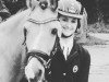 stallion Monsun N (German Riding Pony, 1999, from The Braes My Mobility)