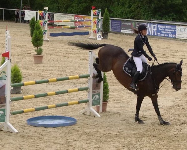 Reitturnier Püttlingen 2019