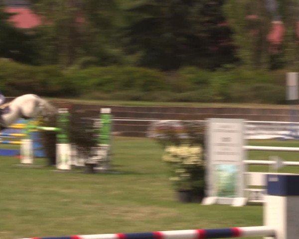 Reitturnier Baschütz bei Bautzen 2019