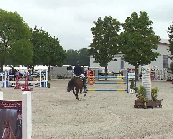 Reitturnier Rot am See- Musdorf 2019