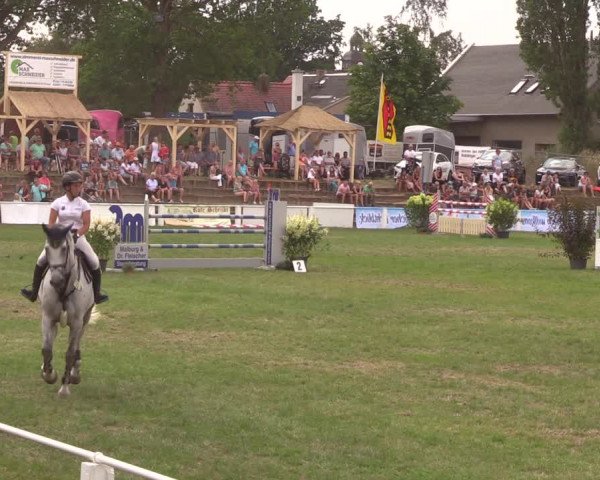 Reitturnier Baschütz bei Bautzen 2019