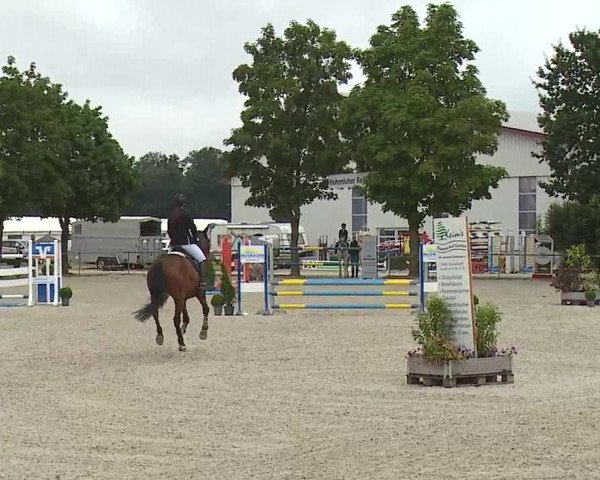 Reitturnier Rot am See- Musdorf 2019