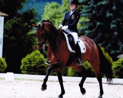 dressage horse Rose Magic 2 (Westphalian, 2004, from Roh Magic)