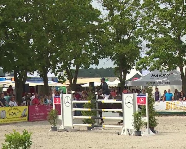 Reitturnier Rot am See- Musdorf 2019