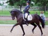 dressage horse Kleiner Kronprinz (German Riding Pony, 2005, from Kaiser Konrad)